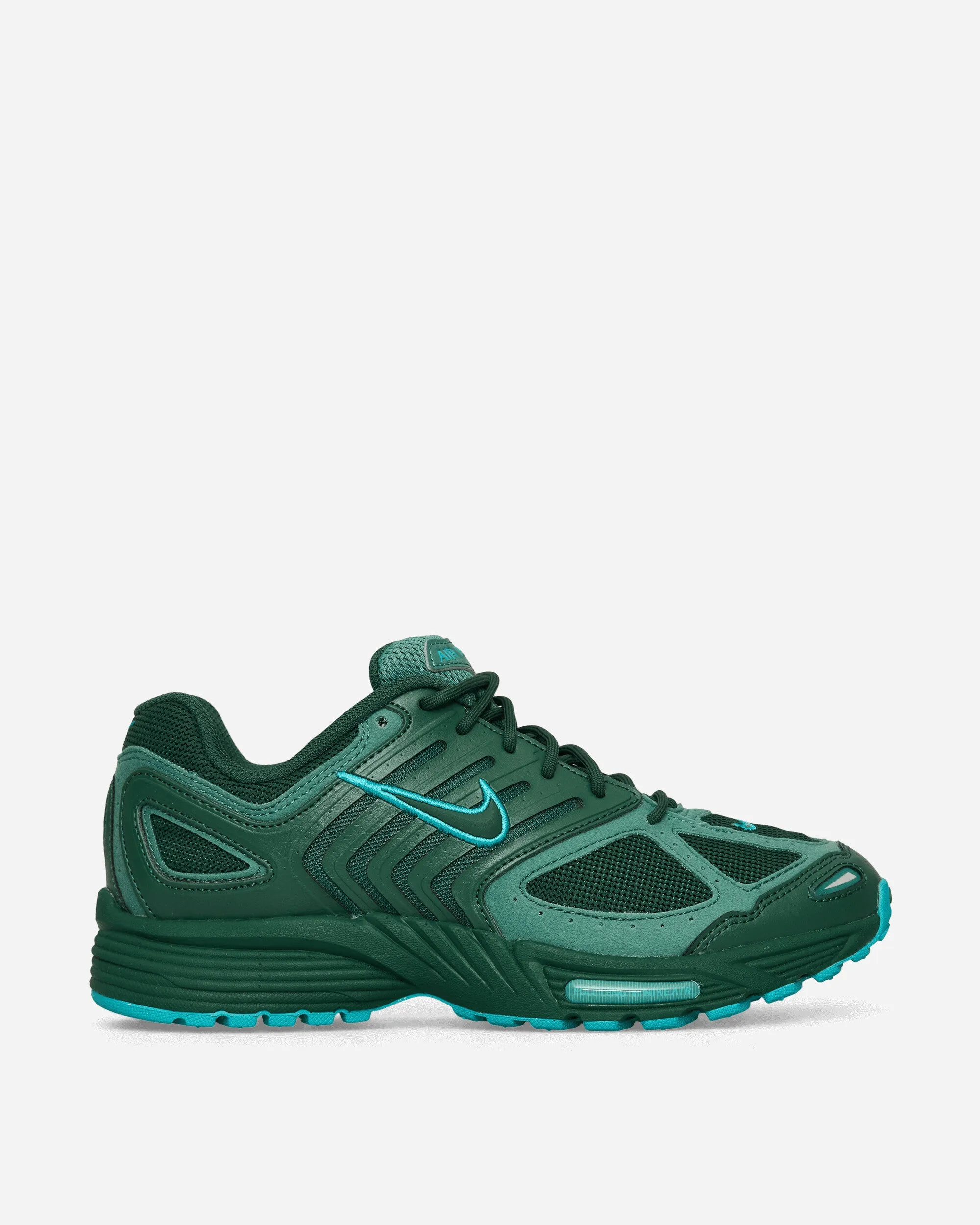 Dog Hike Air Pegasus 2005 Sneakers Fir
