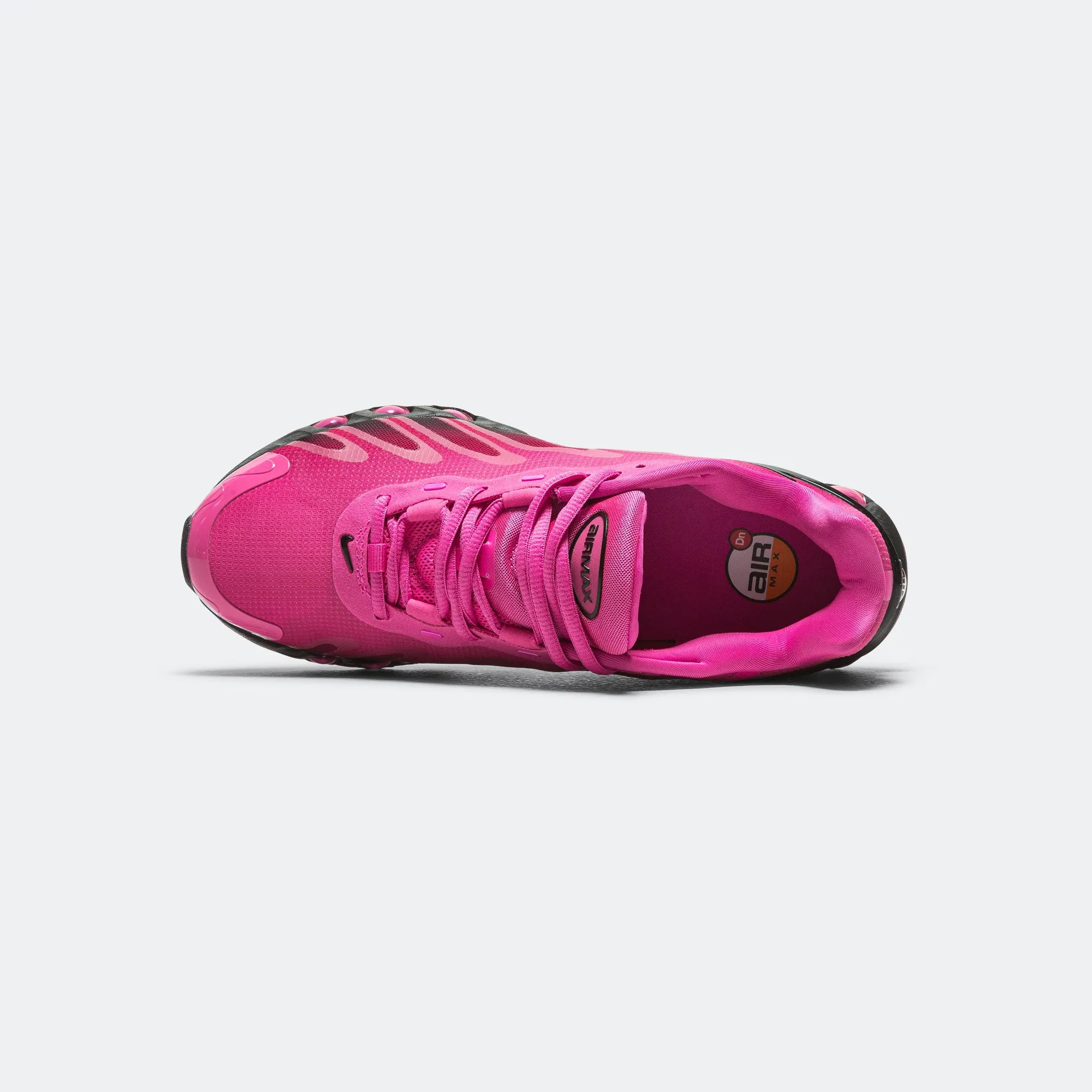 Womens Air Max DN8 - Laser Fuchsia/Black-Sport Fuchsia City Drive