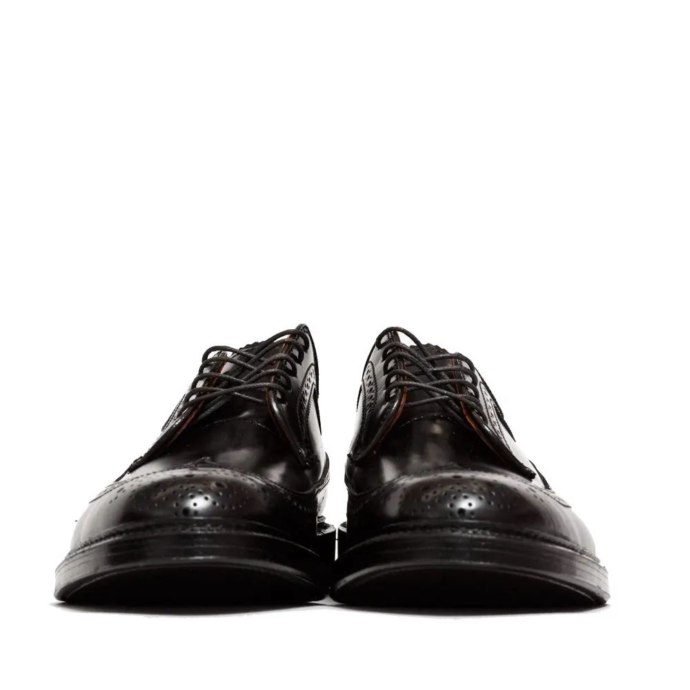 Fresh Day Alden Black Cordovan Longwing Blucher