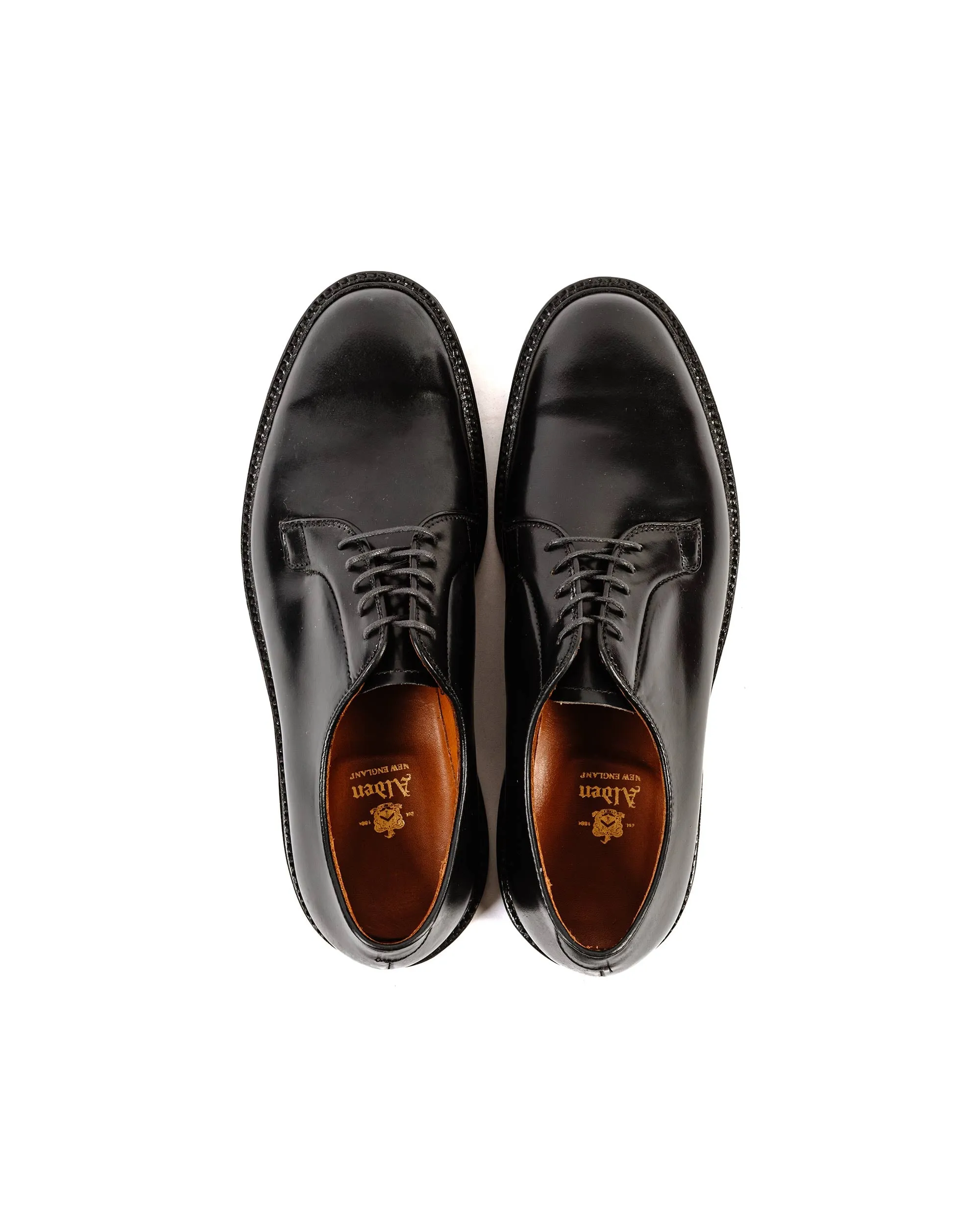 Water Resistant Alden Plain Toe Blucher Black Shell Cordovan 9901