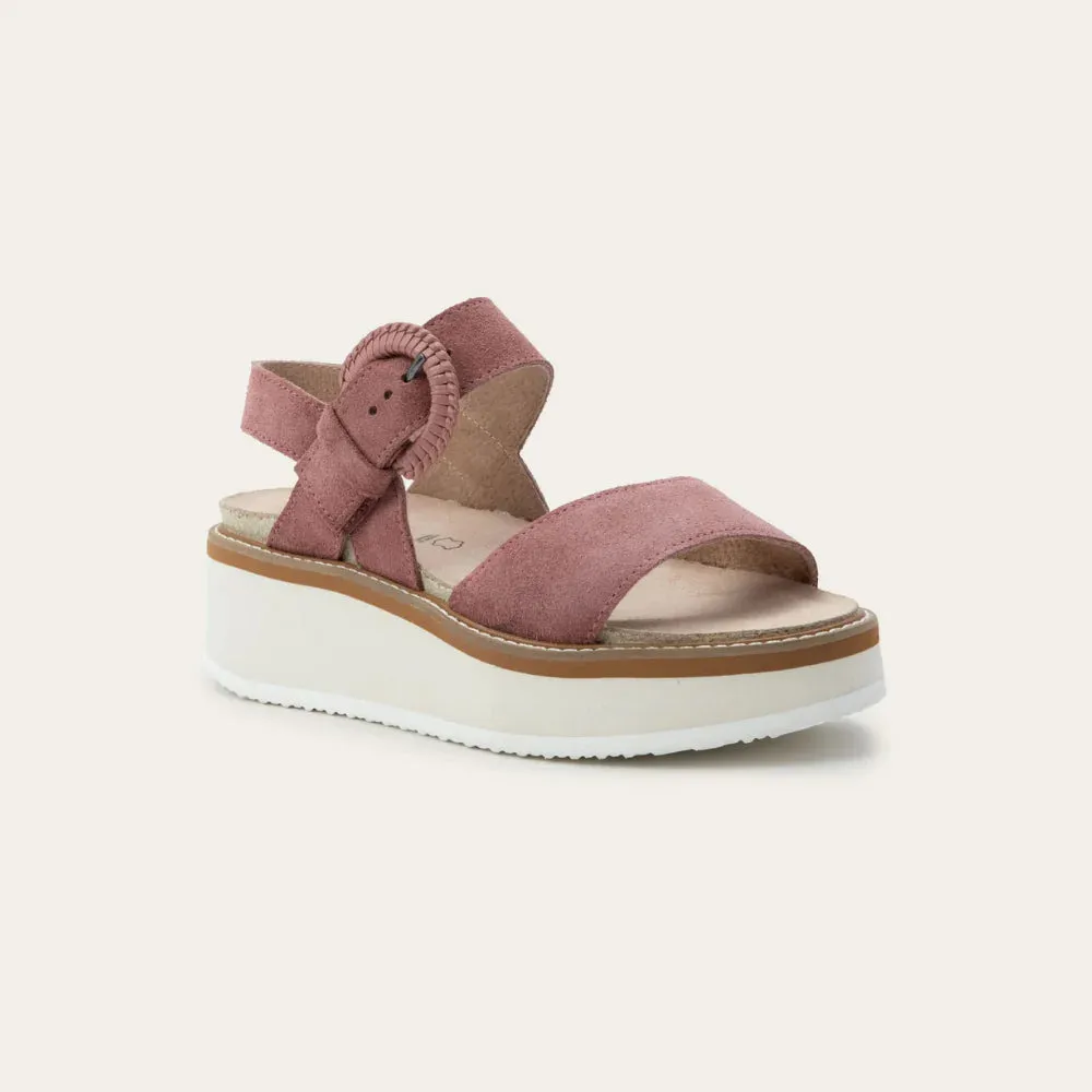 Runway Glow Early Jog Crepe