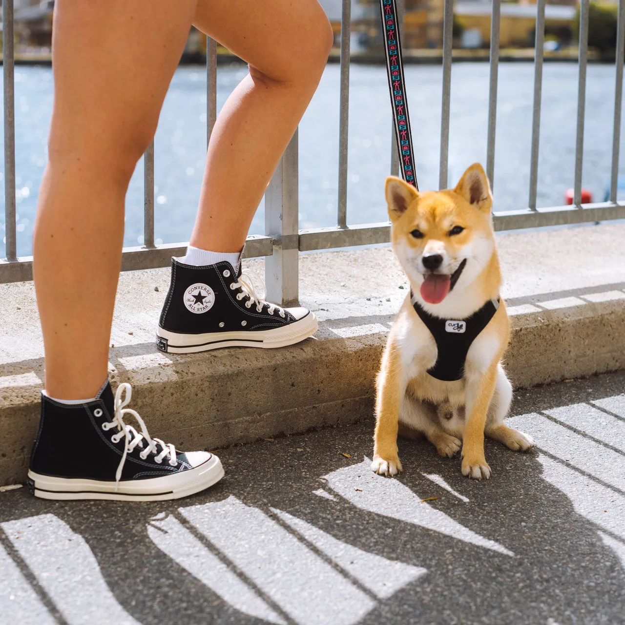 Torsion System Versatile Footwear Chuck Taylor 70 Hi