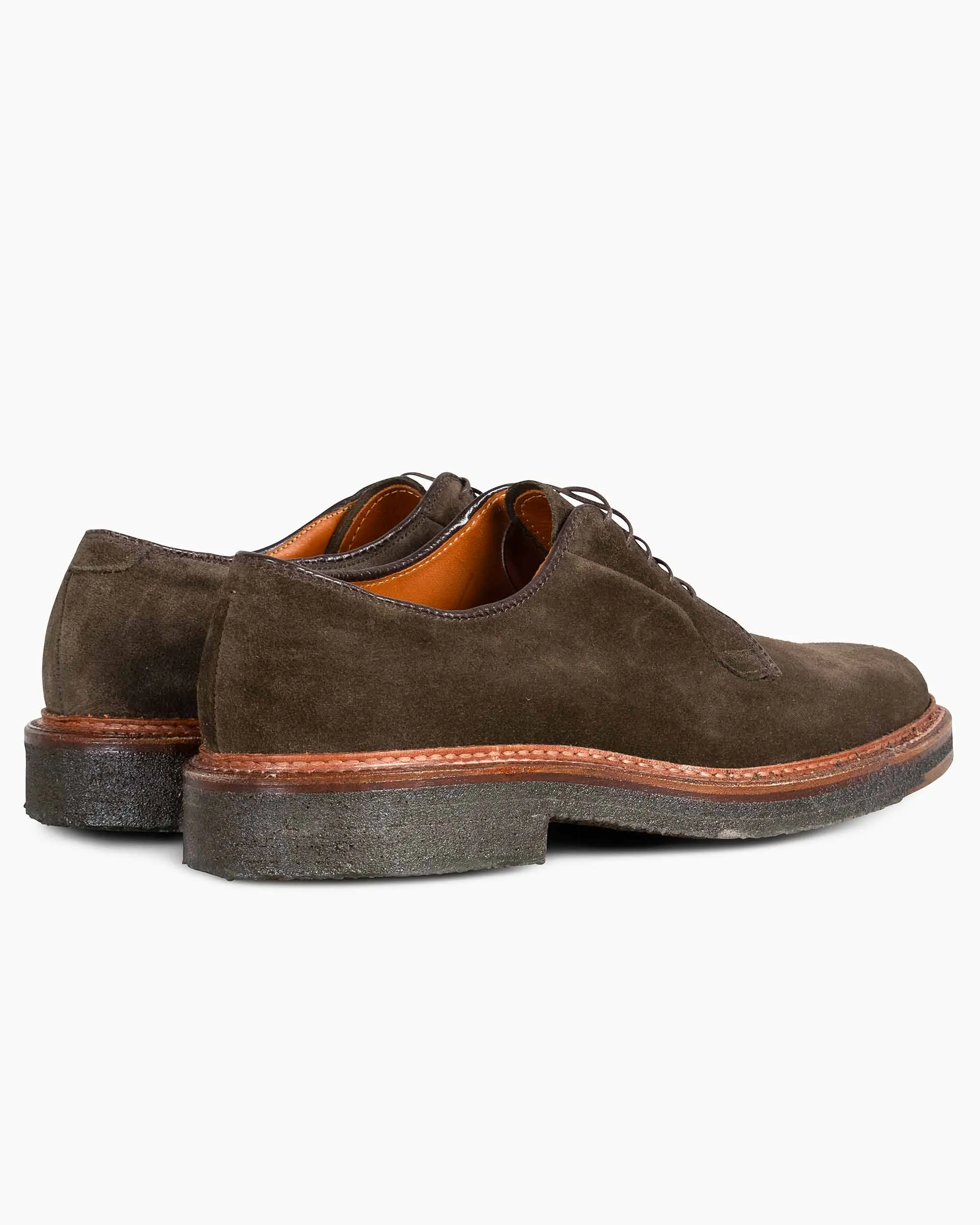 Alden Plain Toe Blucher Loden Suede G2402 Any Season Calm Tone