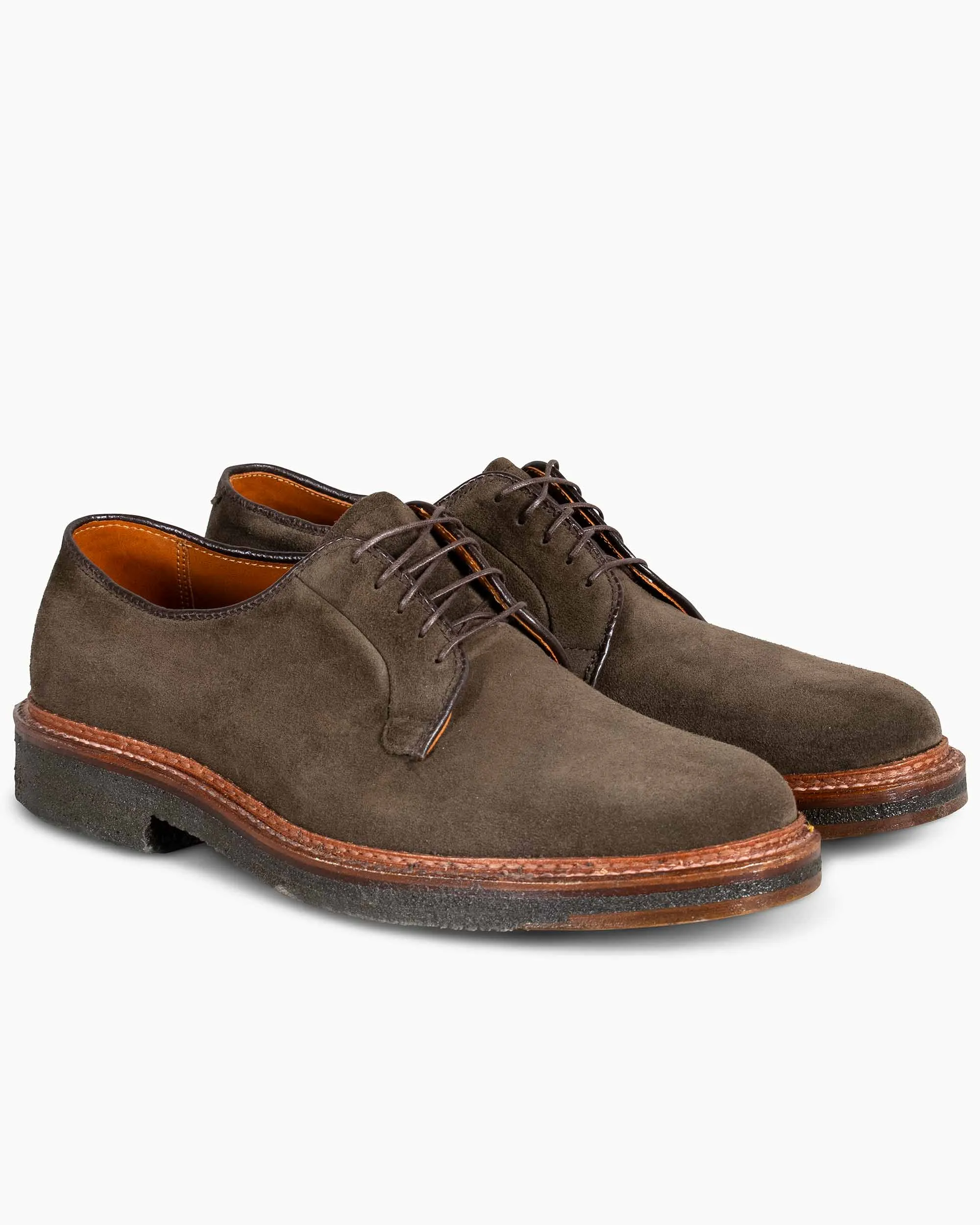 Alden Plain Toe Blucher Loden Suede G2402 Campus Tour Easy Match