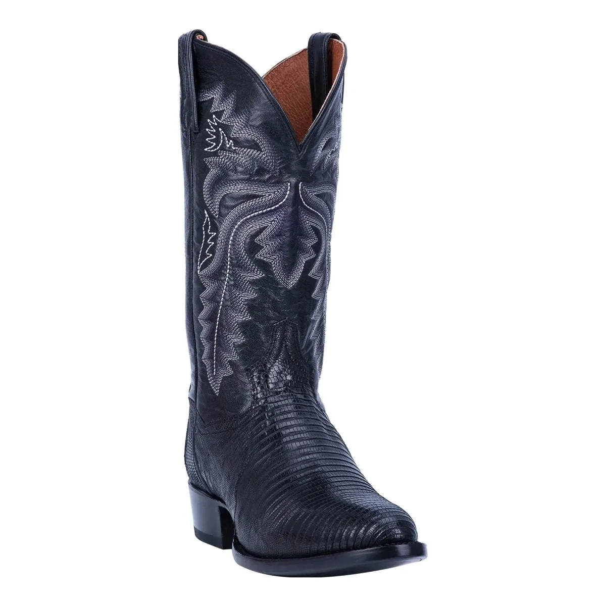 Cool Look Neutral Colors Dan Post Men's Winston Teju Lizard Black