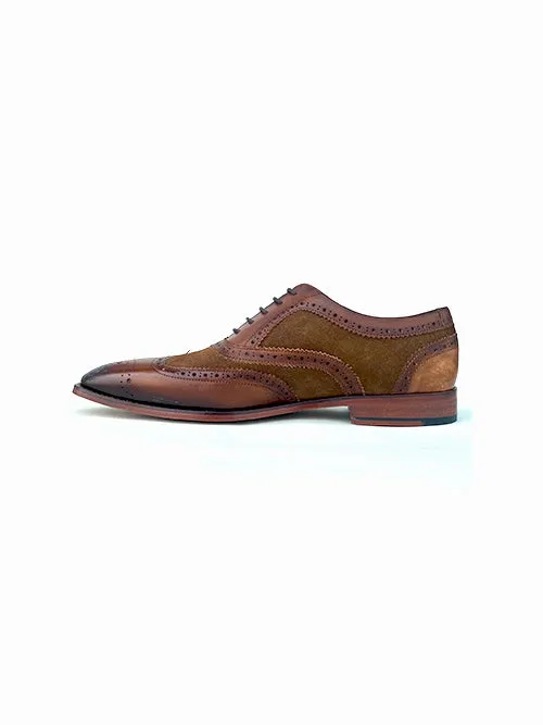 Stella Spectator Wingtip Oxford - Brown Classic Performance