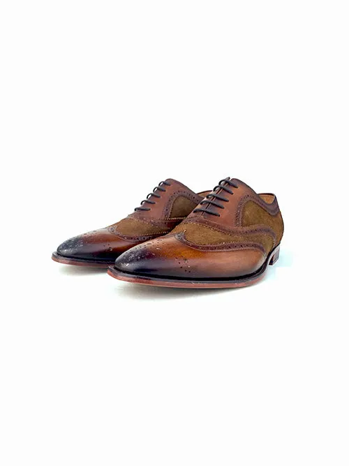 Stella Spectator Wingtip Oxford - Brown Gentleman Oxfords