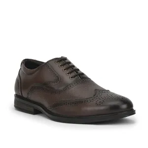 Comfort Class Timeless Comfort Fortune Formal Brown Lacing Brogue Shoes For Men HOL-125E By Liberty