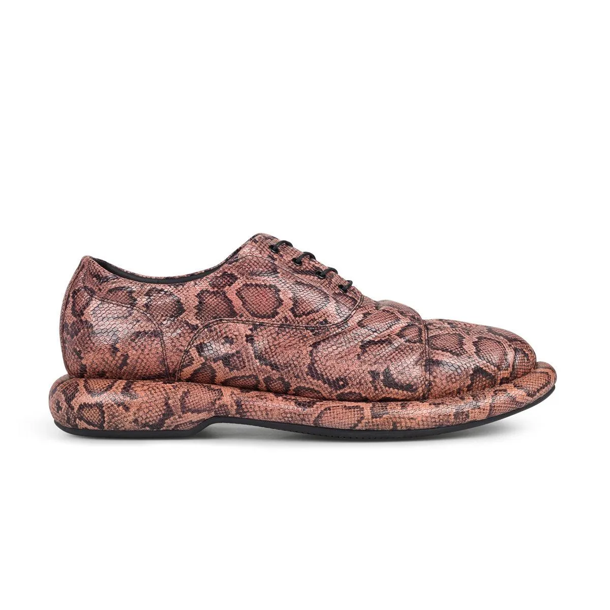   Martine Rose Wmns Oxford 'Rose Snake' Casual Days Trend Spot
