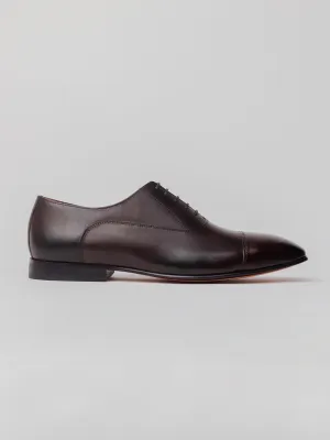 Maverick Toecap Oxford - Dark Brown Timeless Walk