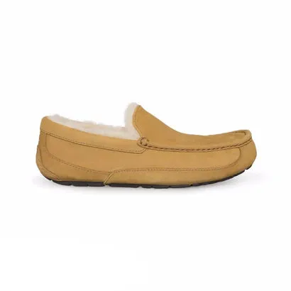 Easy Maintenance Men's Ascot Slipper