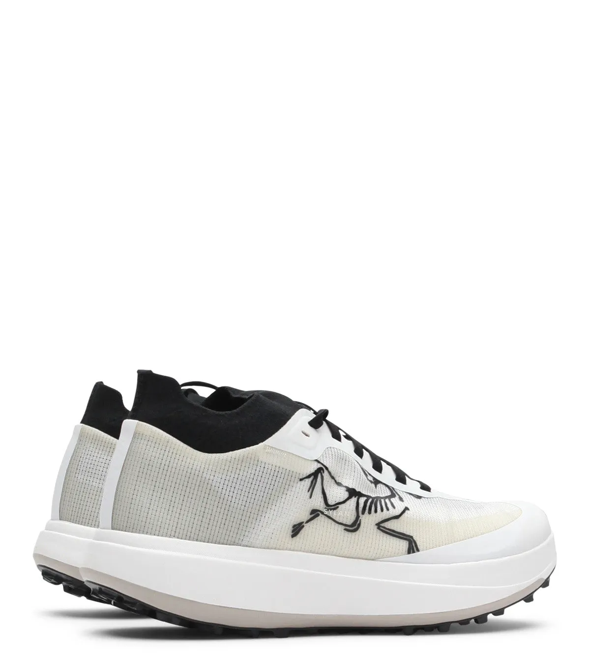 Arc'teryx Sylan Pro Silk men's shoes student