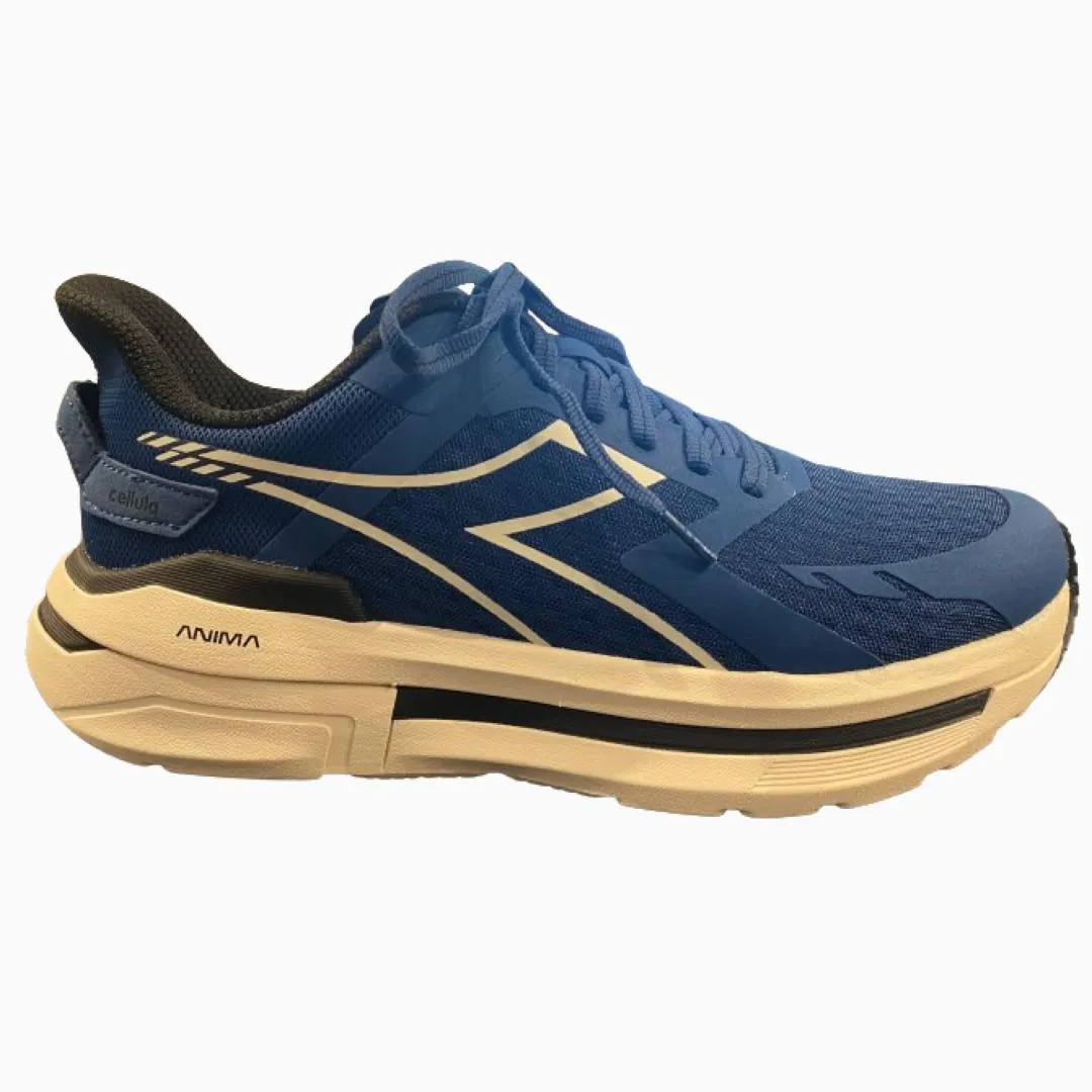 Surf Step Cellula