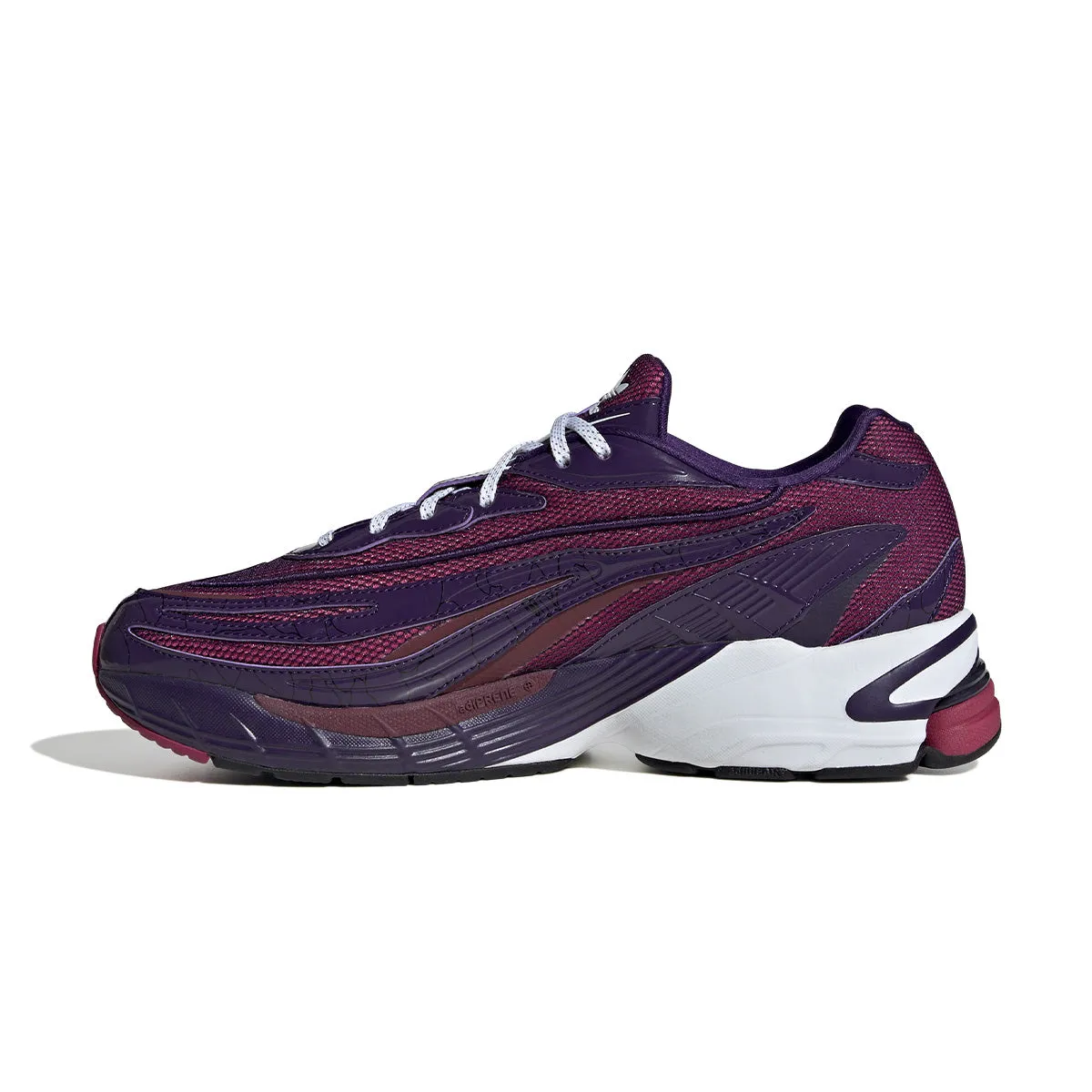   Bape Orketro 'Dark Purple' Bush Path