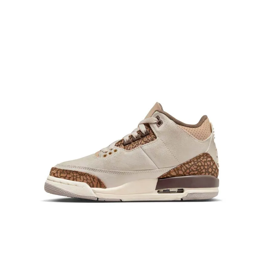 Kid's Air Jordan 3 Retro 'Palomino' All-Day Support Blue Sky