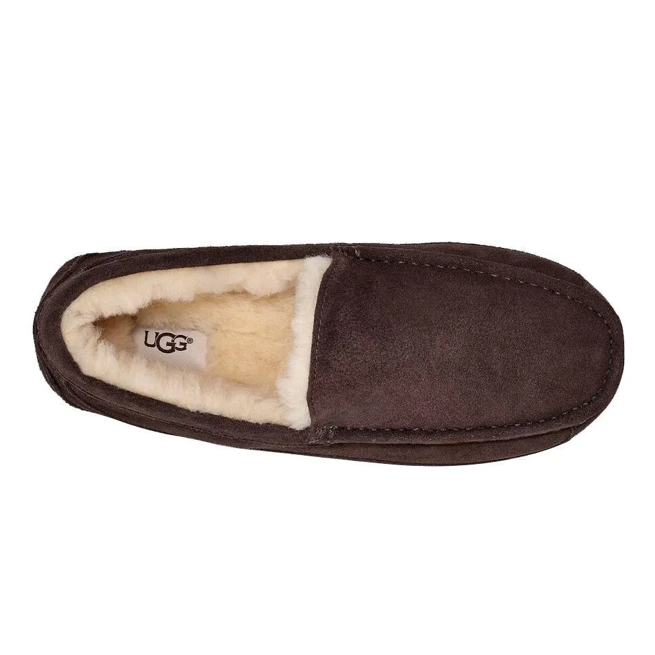 Picnic Mood TPU sole UGG Men's Ascot Espresso Suede