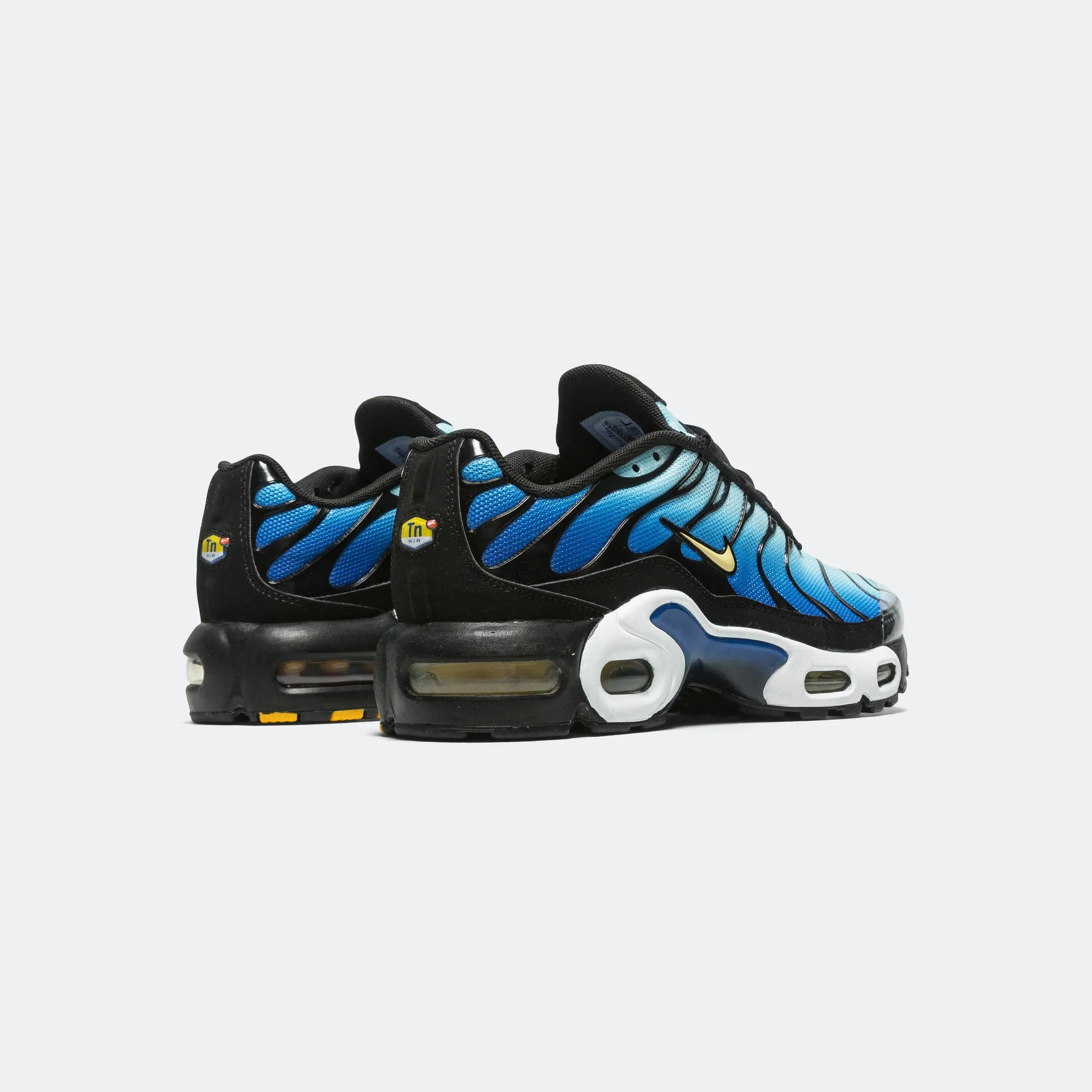 Odor Control Treatment Fashion-forward flexibility Air Max Plus (GS) - Black/Chamois-Sky Blue-Hyper Blue
