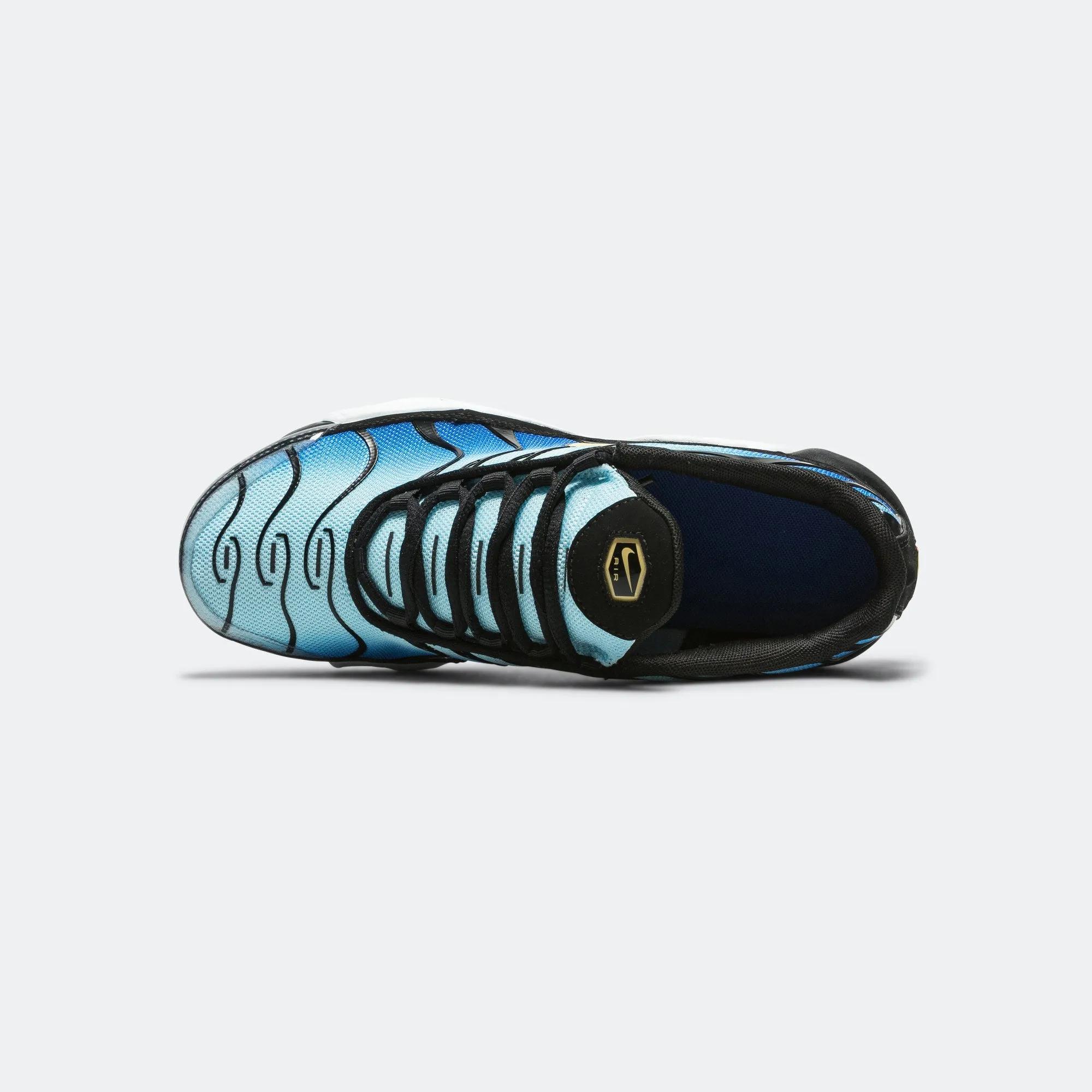 Flexible Traction Compression Molded Heel Air Max Plus (GS) - Black/Chamois-Sky Blue-Hyper Blue
