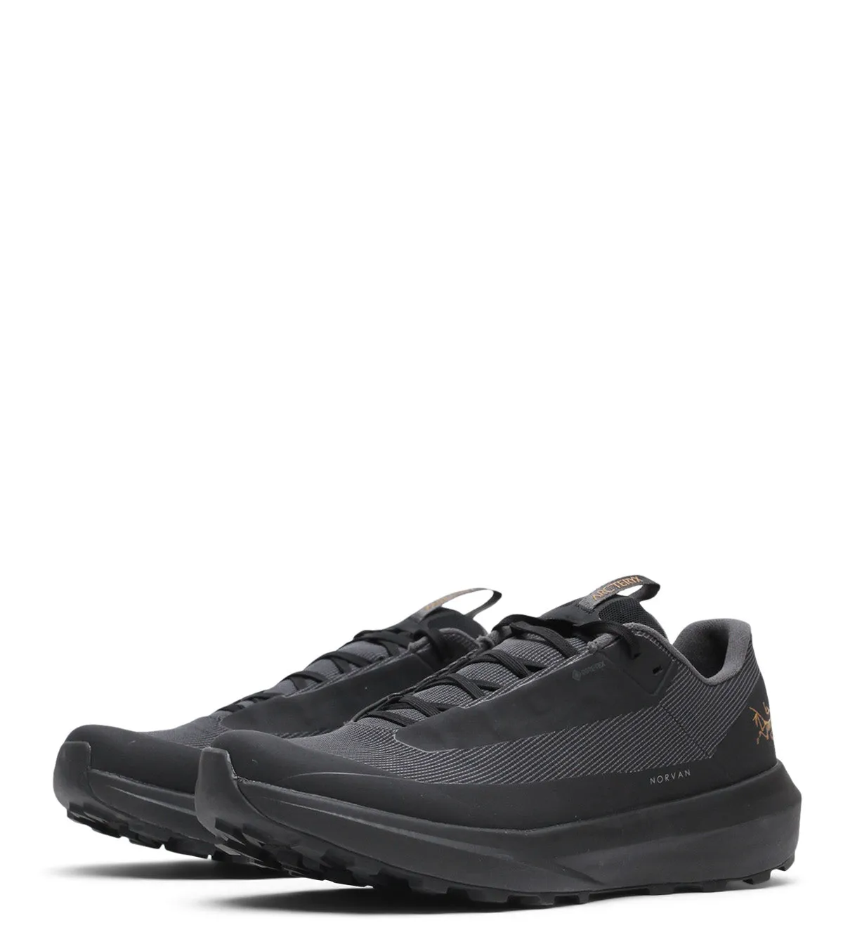 Relaxed Fit Arc'teryx Norvan LD 4 GTX Black