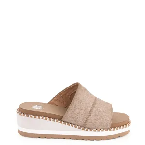 Pointed Toe Comfortable Linings Women's Ayama